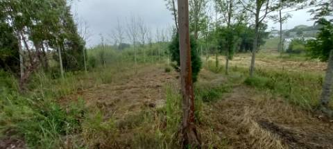 Terreno para venda Em Paredes do Bairro