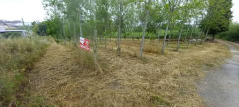 Terreno para venda Em Paredes do Bairro