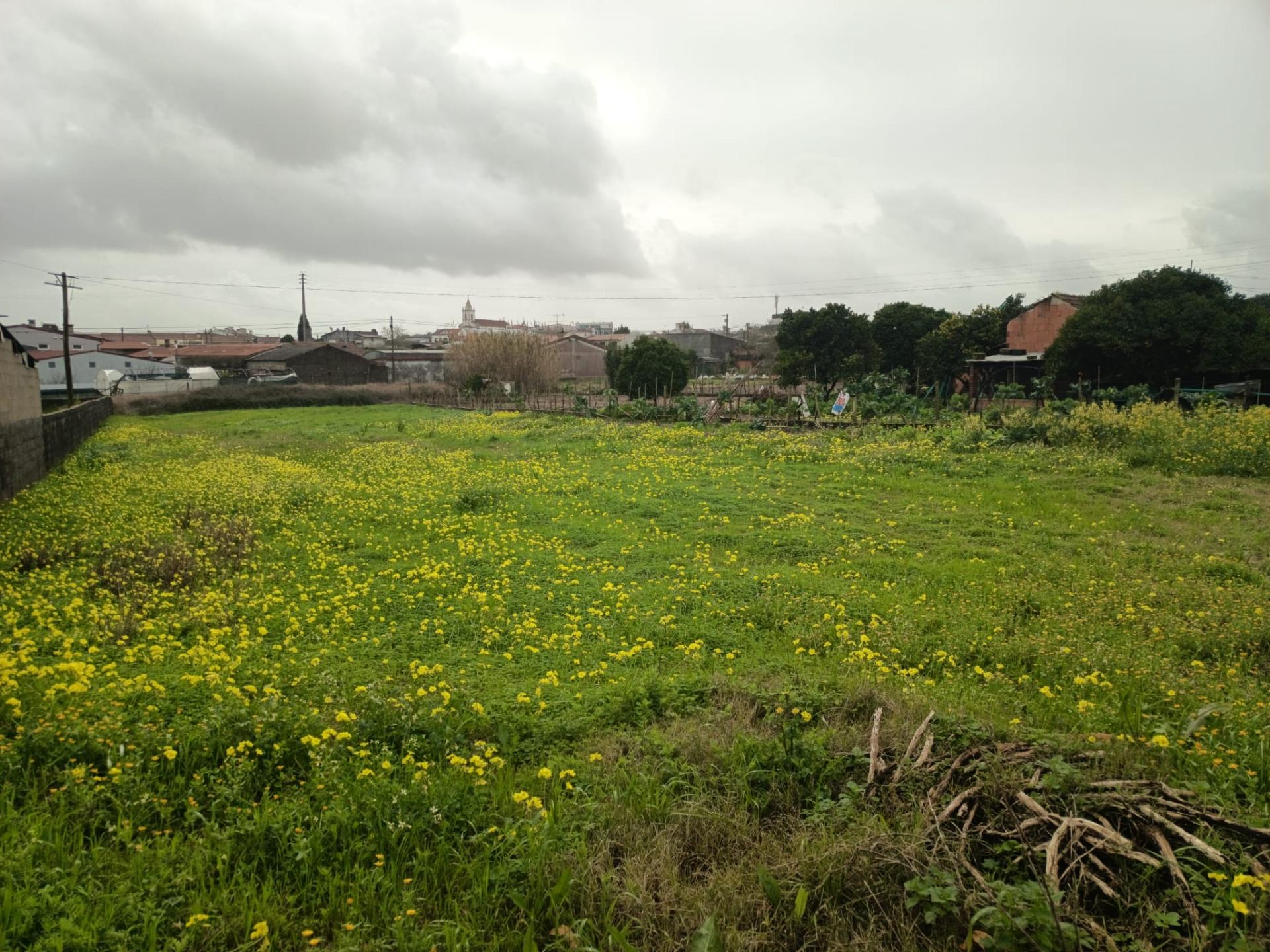 Terreno Urbano em Fermentelos