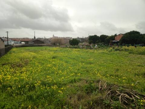 Terreno Urbano em Fermentelos