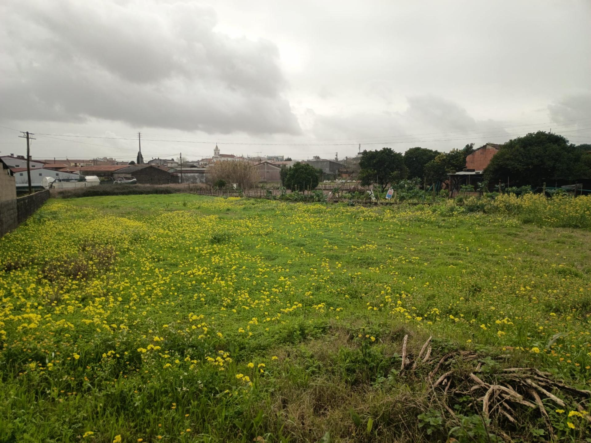Terreno Urbano em Fermentelos