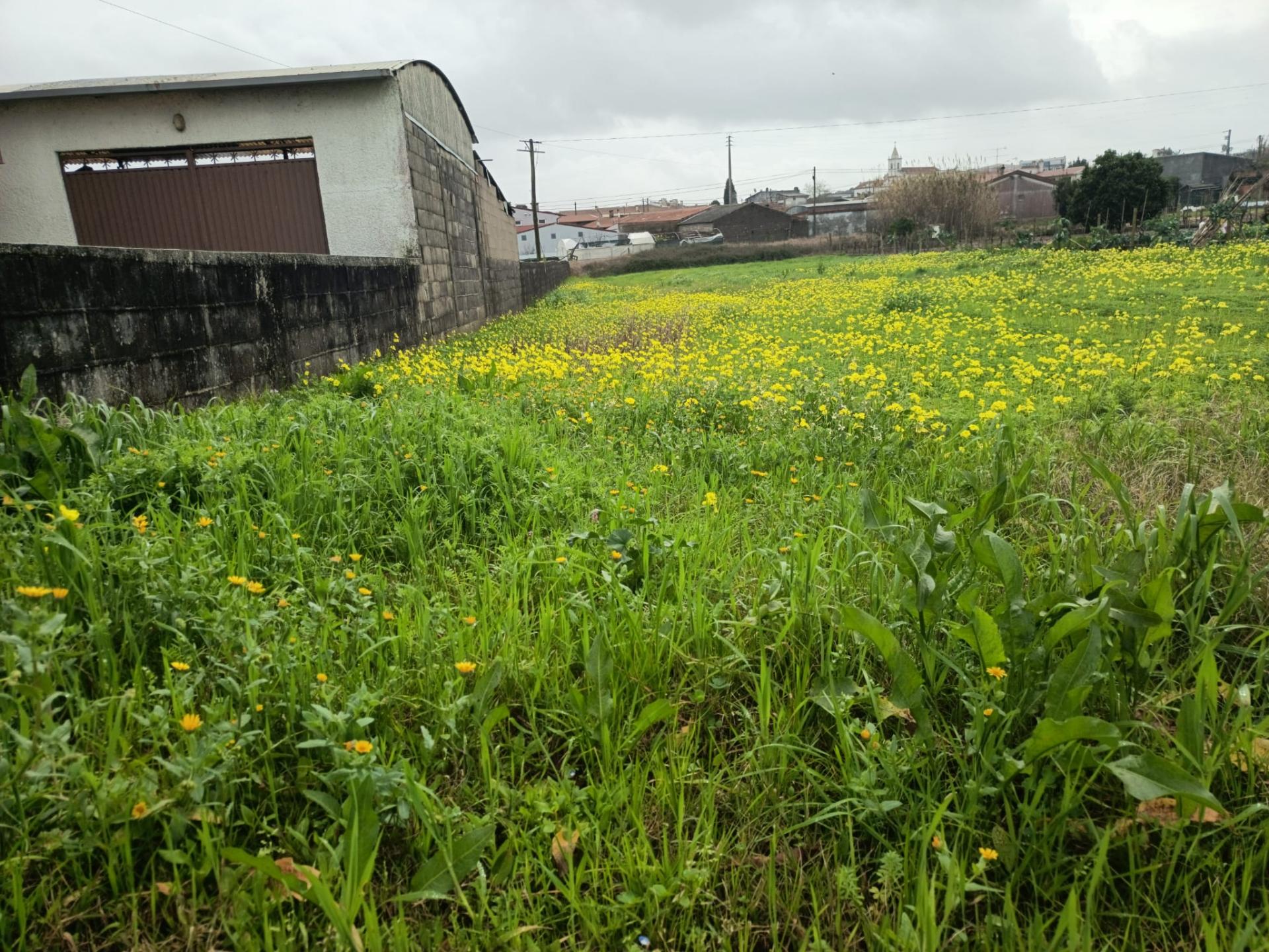 Terreno Urbano em Fermentelos