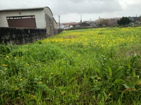 Terreno Urbano em Fermentelos