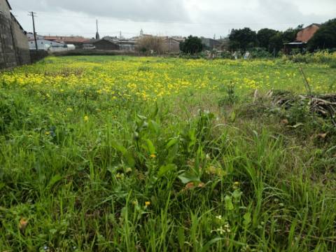 Terreno Urbano em Fermentelos