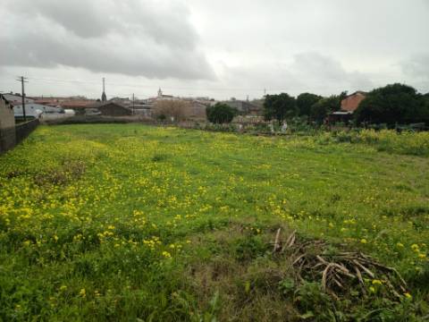 Terreno Urbano em Fermentelos