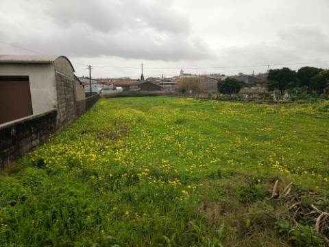 Terreno Urbano em Fermentelos
