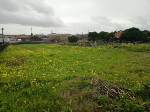 Terreno Urbano em Fermentelos