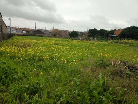 Terreno Urbano em Fermentelos