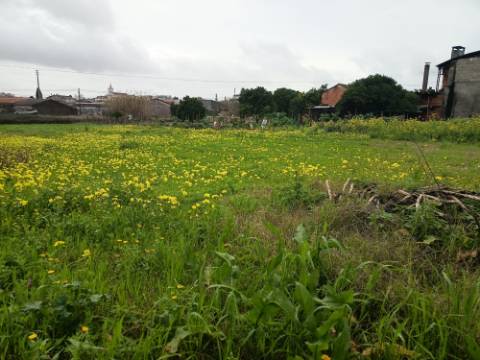 Terreno Urbano em Fermentelos