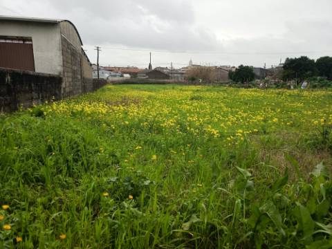 Terreno Urbano em Fermentelos