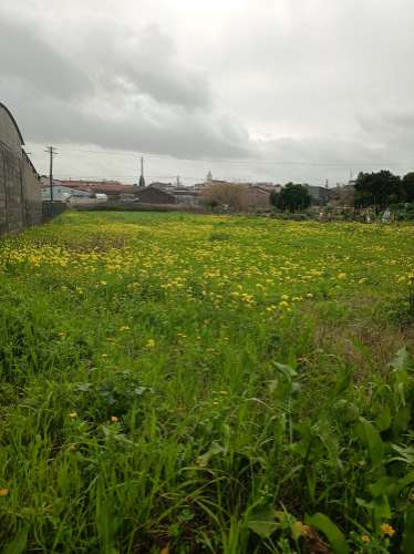 Terreno Urbano em Fermentelos