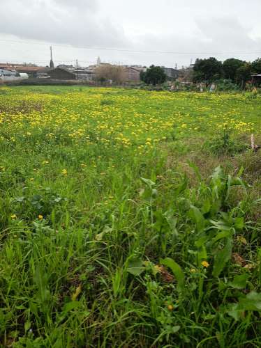Terreno Urbano em Fermentelos