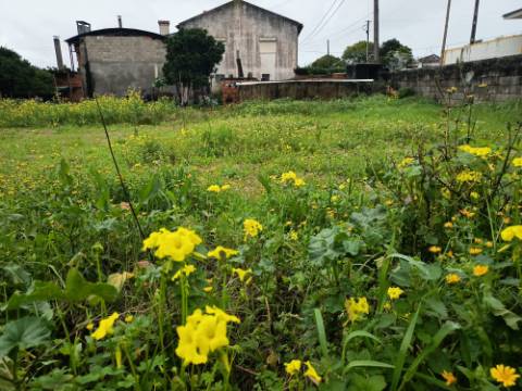 Terreno Urbano em Fermentelos