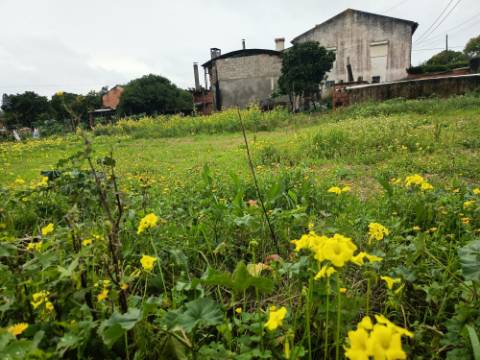 Terreno Urbano em Fermentelos