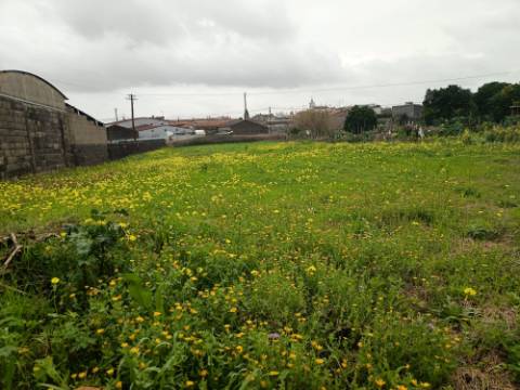 Terreno Urbano em Fermentelos