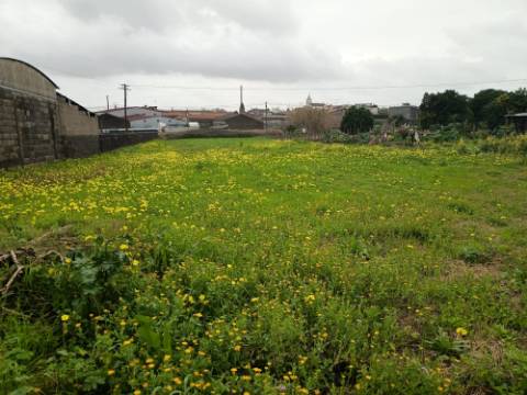 Terreno Urbano em Fermentelos