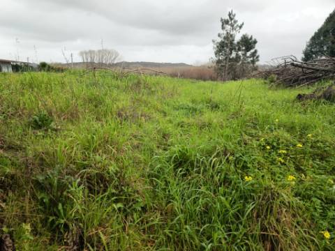 Terreno em Fermentelos