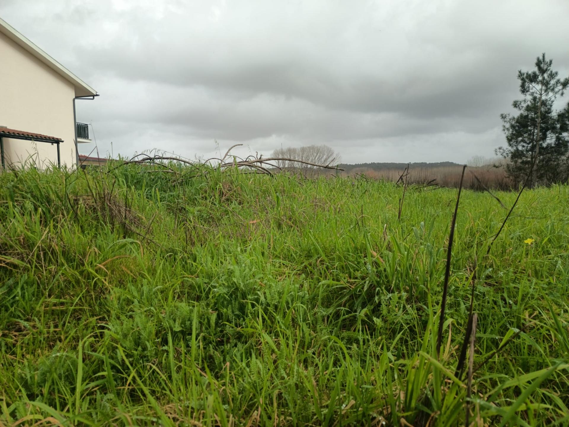 Terreno em Fermentelos
