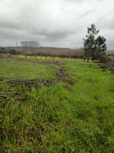 Terreno em Fermentelos