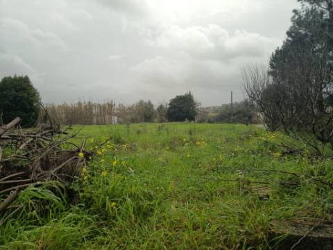 Terreno em Fermentelos
