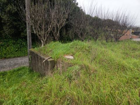Terreno em Fermentelos