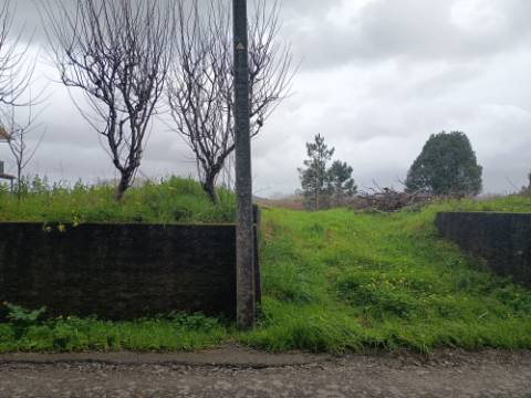 Terreno em Fermentelos