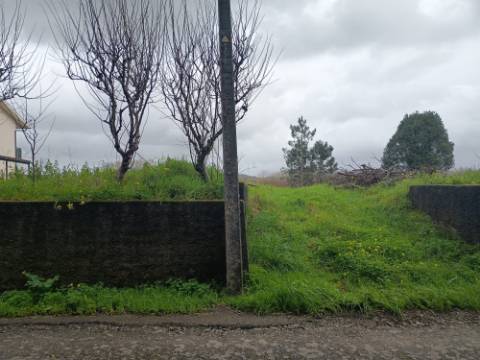 Terreno em Fermentelos