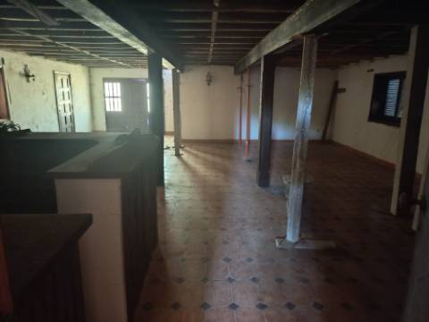 Moradia T3+Terreno
