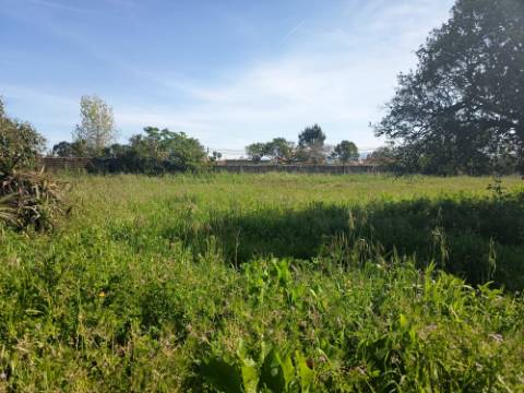 Moradia T3+Terreno