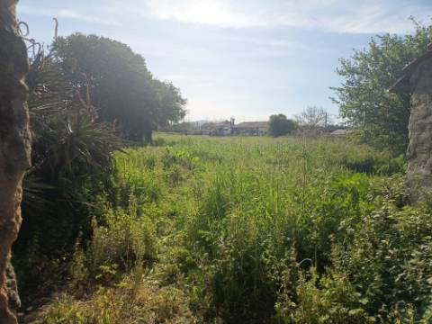 Moradia T3+Terreno