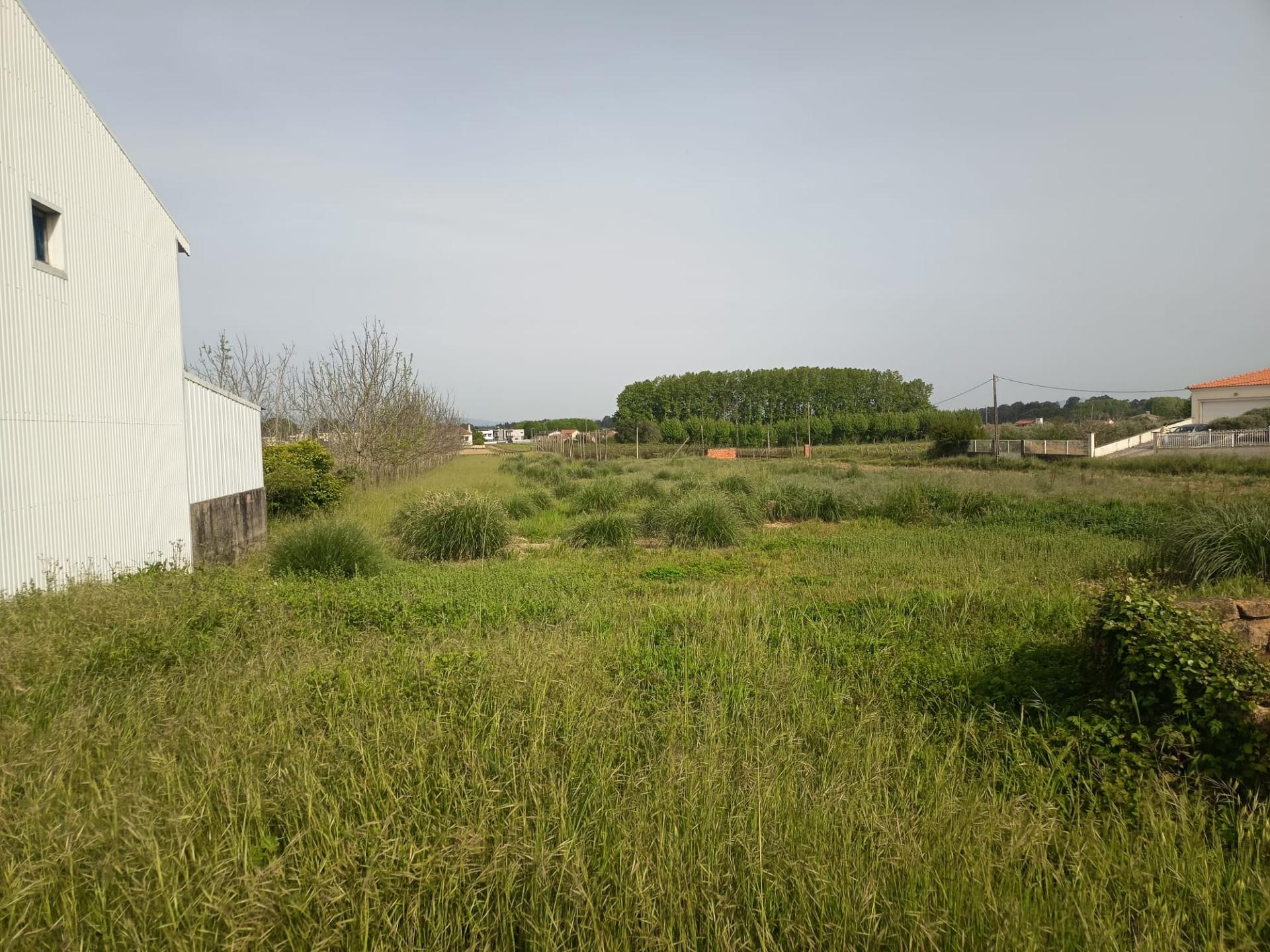 Terreno viável para construção