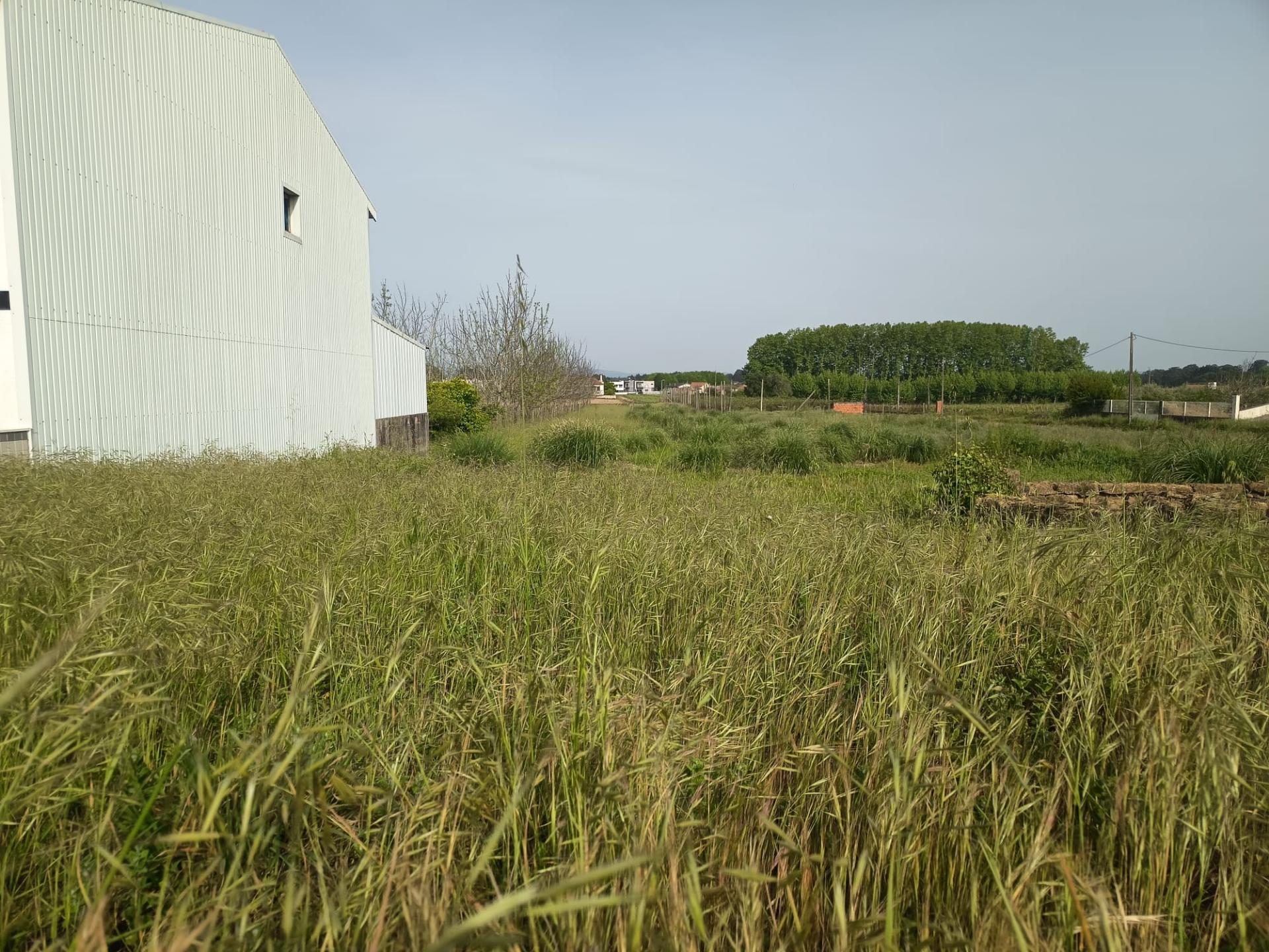 Terreno viável para construção