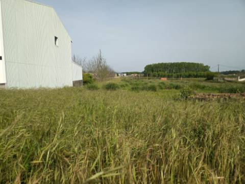 Terreno viável para construção