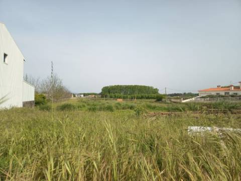 Terreno viável para construção