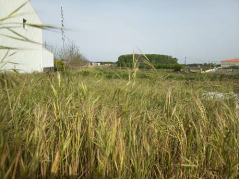 Terreno viável para construção