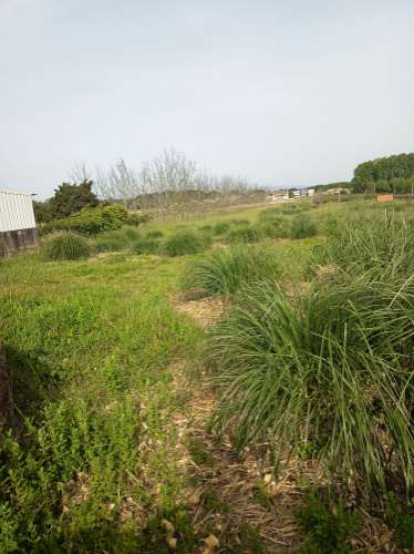 Terreno viável para construção