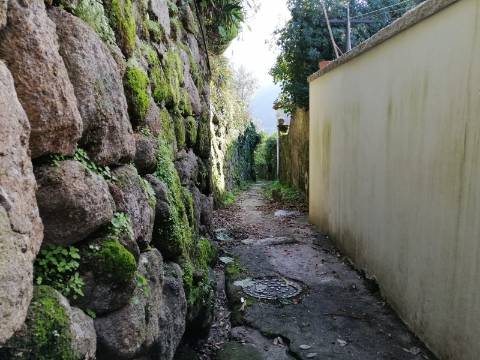 Moradia p/ Recuperar - Boassas Cinfães