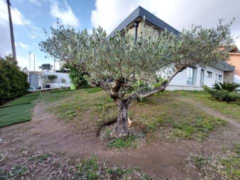 Moradia T3+1 Térrea | Jovim | 10 min Porto