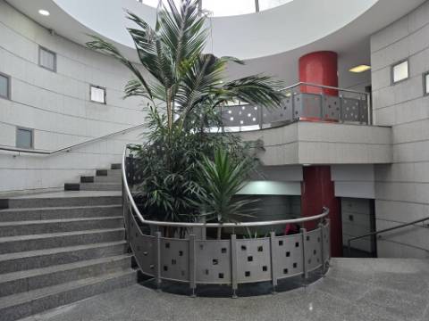 INVESTIMENTO | 5 Lojas Arrendadas | Centro de Gondomar (Souto)