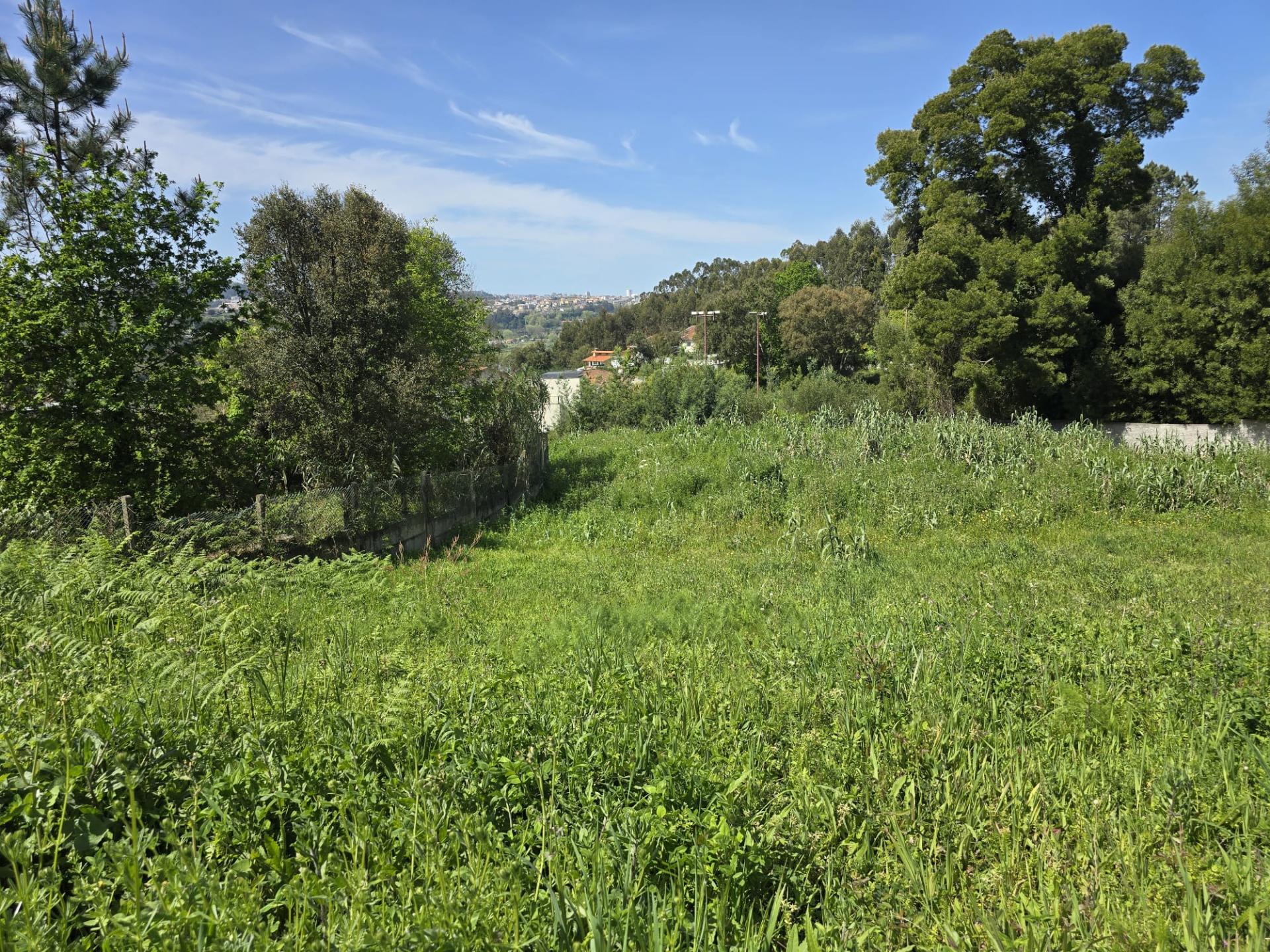 LOTE TERRENO - ENCOSTA DO DOURO