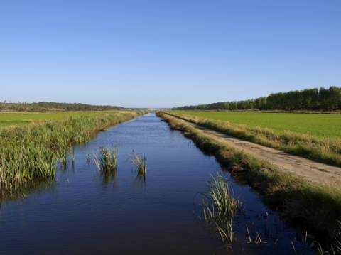 Lote de terreno com projecto para moradia V6 Brejos da Carregueira de Baixo