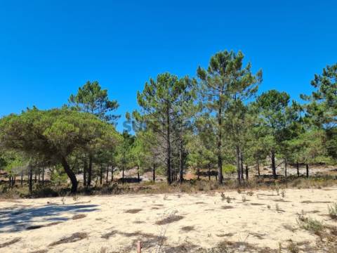 Lote de terreno com projecto para moradia V6 Brejos da Carregueira de Baixo