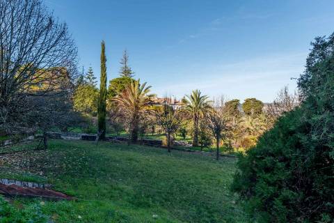 Quinta de Santa Maria em Loures