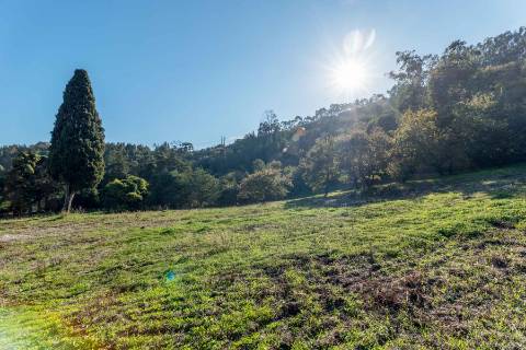 Quinta de Santa Maria em Loures
