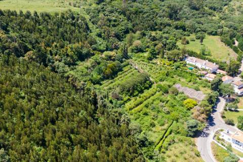 Quinta de Santa Maria em Loures
