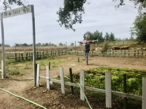 Hotel Rural na Costa Alentejana
