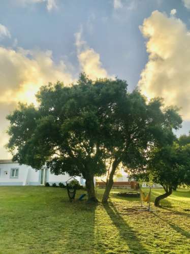 Hotel Rural na Costa Alentejana
