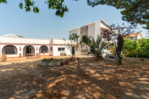 Casa na Falésia da Caparica com jardim ao lado das praias