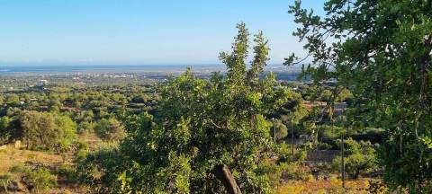 Projecto Aprovado para construção