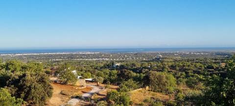 Projecto Aprovado para construção